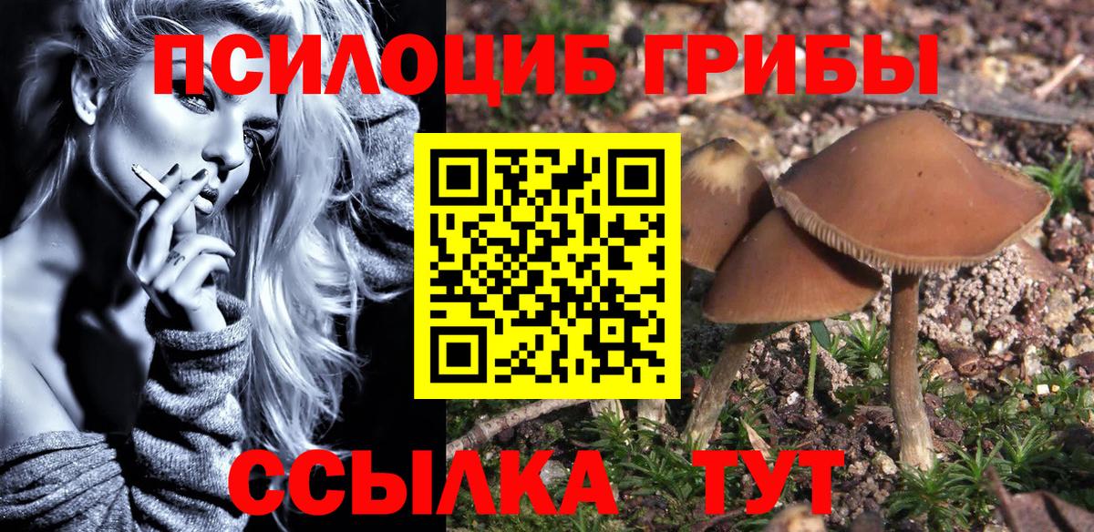 Псилоцибиновые грибы MAGIC MUSHROOMS  закладка  Вышний Волочёк  Вход с VPN  Псилоцибиновые грибы мухоморы 